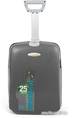 Чемодан-спиннер Francesco Molinary 337-HL301/3-21GRY (серый)