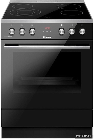 Кухонная плита Hansa FCCL69225