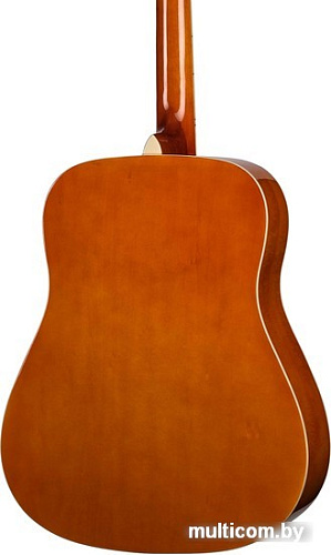 Homage LF-4100-N