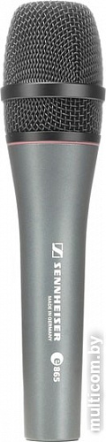 Микрофон Sennheiser e 865