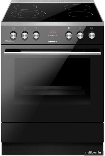 Кухонная плита Hansa FCCL69225