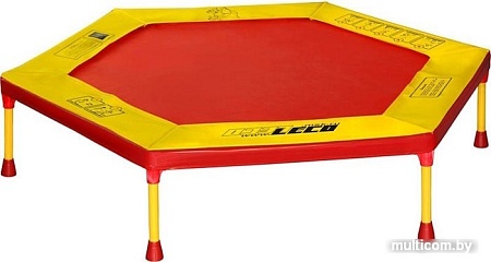 Батут Leco-IT Home 120см
