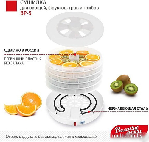 Сушилка для овощей и фруктов Великие Реки ВР-5 (прозрачный/белый)