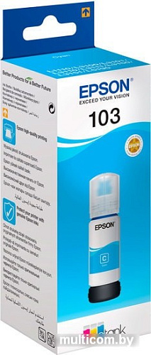 Чернила Epson C13T00S24A