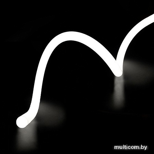 Гибкий неон ST Luce Гибкий неон ST981.415.65