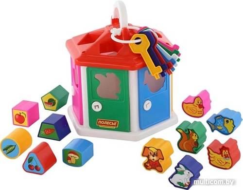 Сортер Полесье Логический домик (в сеточке)