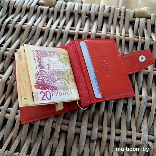 Зажим для денег EZcase Mini C17.4 (красный)