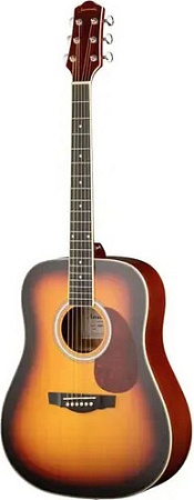 Акустическая гитара Naranda DG220VS