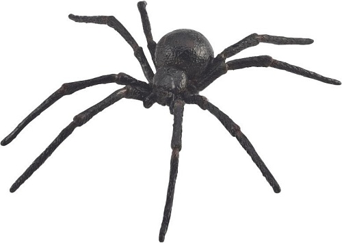 Collecta Паук Черная вдова 88884b