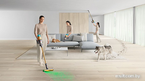Пылесос Dyson V12 Detect Slim Absolute hepa (золотой)