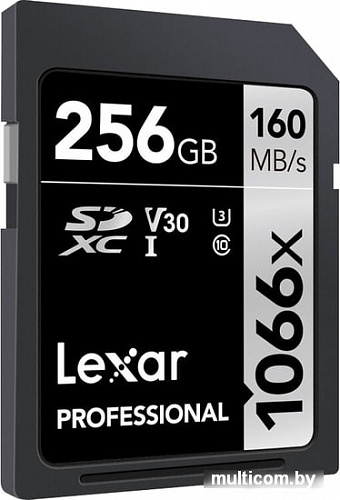 Карта памяти Lexar Professional 1066x SDXC LSD1066256G-BNNNG 256GB