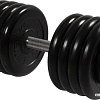 Гантели MB Barbell Профи 43.5 кг (вращающаяся ручка)