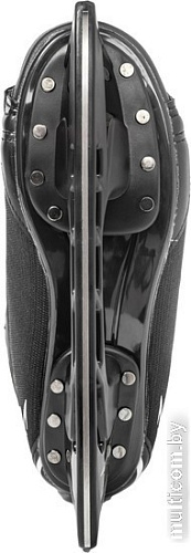 Коньки Ricos Eagle PW-206AJ (р.46, черный)