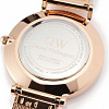 Наручные часы Daniel Wellington DW00100163