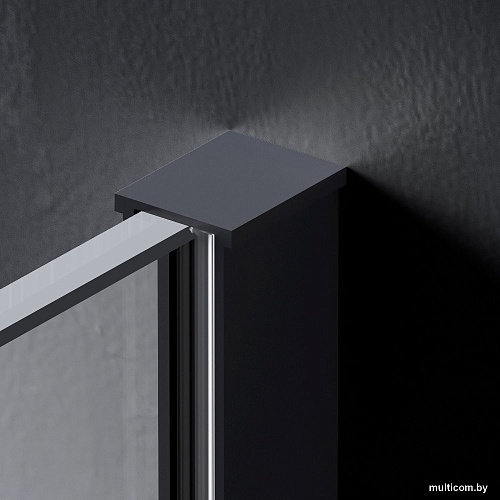 Душевая стенка AM.PM Func 80x200 W84WI-80-F1-BTE