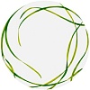 Тарелка обеденная Taitu Life In Green 12-13-0