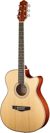 Акустическая гитара Naranda TG220CNA