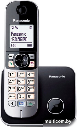 Радиотелефон Panasonic KX-TG6811UAB