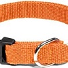 Ошейник Gamma Эталон 11262007 (L, оранжевый)