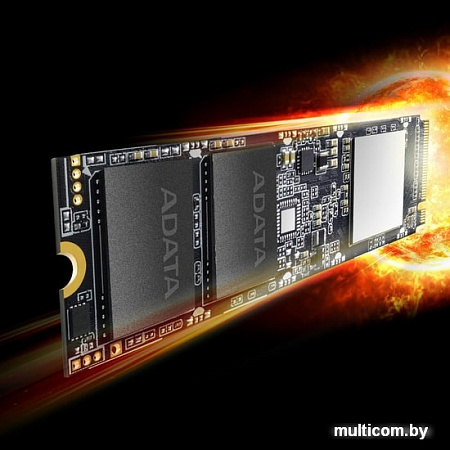 SSD A-Data XPG SX8100 256GB ASX8100NP-256GT-C