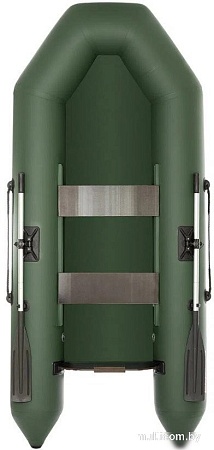 Моторно-гребная лодка Тонар Капитан 260Т (зеленый)