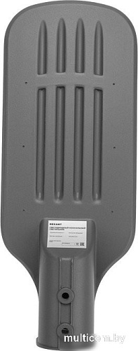 Садовый светильник Rexant ДКУ 03-50-5000К-Ш-C 607-307