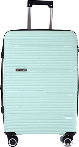 Pride РР-203 (3шт, мятный)