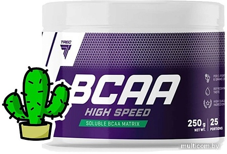 Аминокислоты Trec Nutrition BCAA High Speed (кактус, 250 г)