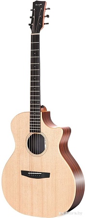 Акустическая гитара Enya EGA-X1 Pro/NA