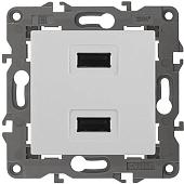 Розетка USB ЭРА 14-4110-01