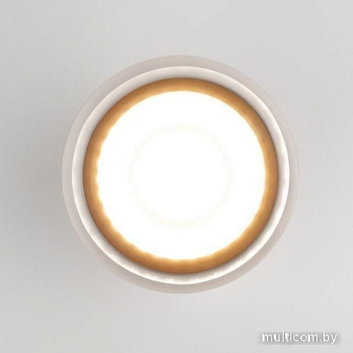 Уличный накладной светильник Elektrostandard Light LED 2107 35140/H (белый)