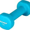 Гантель Espado ES1115 1 кг (голубой)