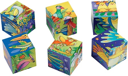 Кубики Айрис-Пресс Умные кубики. Фигурные. Вот какие птички! 9785811271177