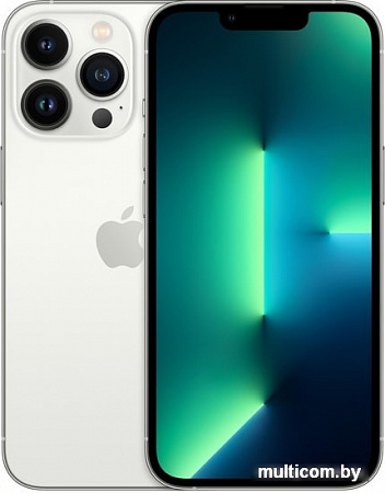 Смартфон Apple iPhone 13 Pro 256GB (серебристый)