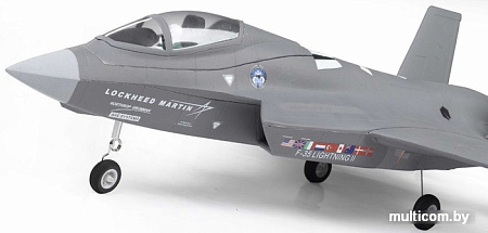 Самолет FMS F35 V2 EDF Jet PNP