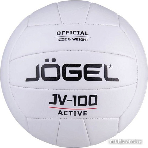 Мяч Jogel JV-100 19885 (5 размер, белый)
