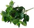 Искусственное растение Forgarden BN10751