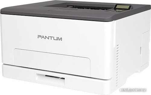 Принтер Pantum CP1100