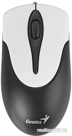 Мышь Genius NetScroll 100 V2 (черный)