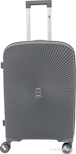 Чемодан-спиннер Francesco Molinary 344-168/2-24DGR (серый)