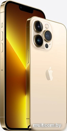 Смартфон Apple iPhone 13 Pro Max 128GB Восстановленный by Breezy, грейд A (золотой)