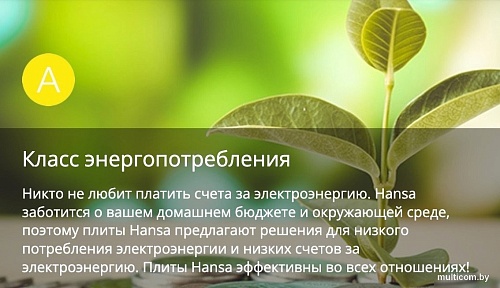 Кухонная плита Hansa FCMX58259