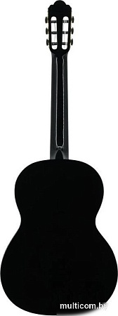 Акустическая гитара Prodipe Primera 3/4 BK