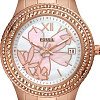 Наручные часы Fossil Stella ES5192