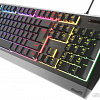 Клавиатура Genesis Rhod 300 RGB