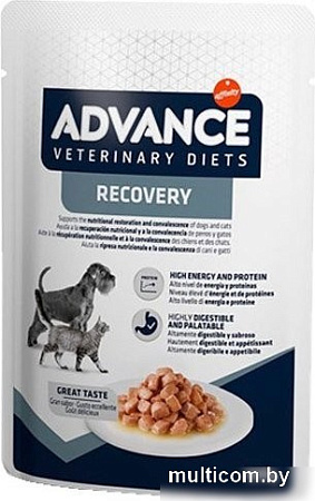Advance Diets Recovery 100 г