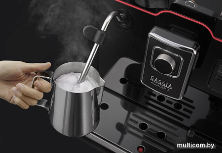 Кофемашина Gaggia Accademia One Touch RI9781/01
