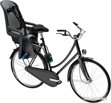 Детское велокресло Thule RideAlong (dark gray)