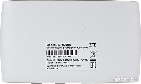 4G модем ZTE MF920RU (белый)