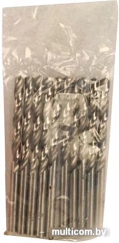 Набор оснастки Sturm 1055-04-4S5-SS10 (10 предметов)